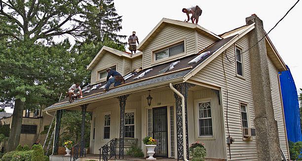 Best Storm Damage Roof Repair  in Glenview, IL